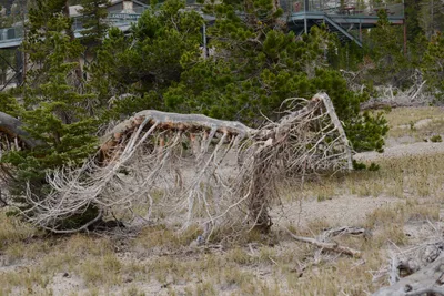 DSC_3128 (Large).JPG